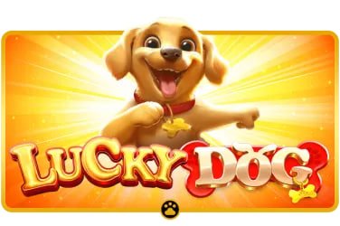Trải nghiệm giải trí casino đỉnh cao tại bj888
